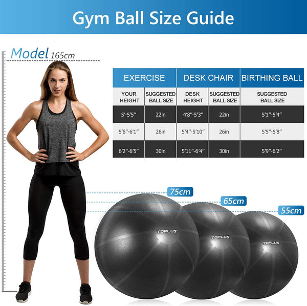 Grande balle souple 65 cm - Body ball pour atelier gym douce seniors